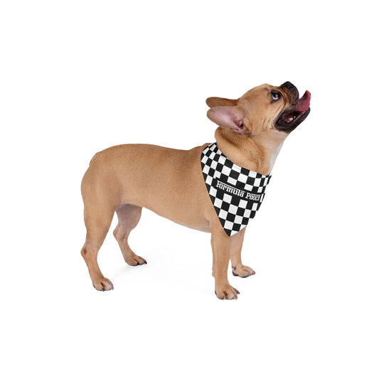 Formula Pooch Race Bandana